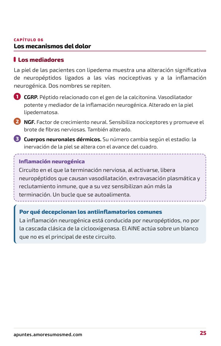 Cap. 06 · Mecanismos del dolor