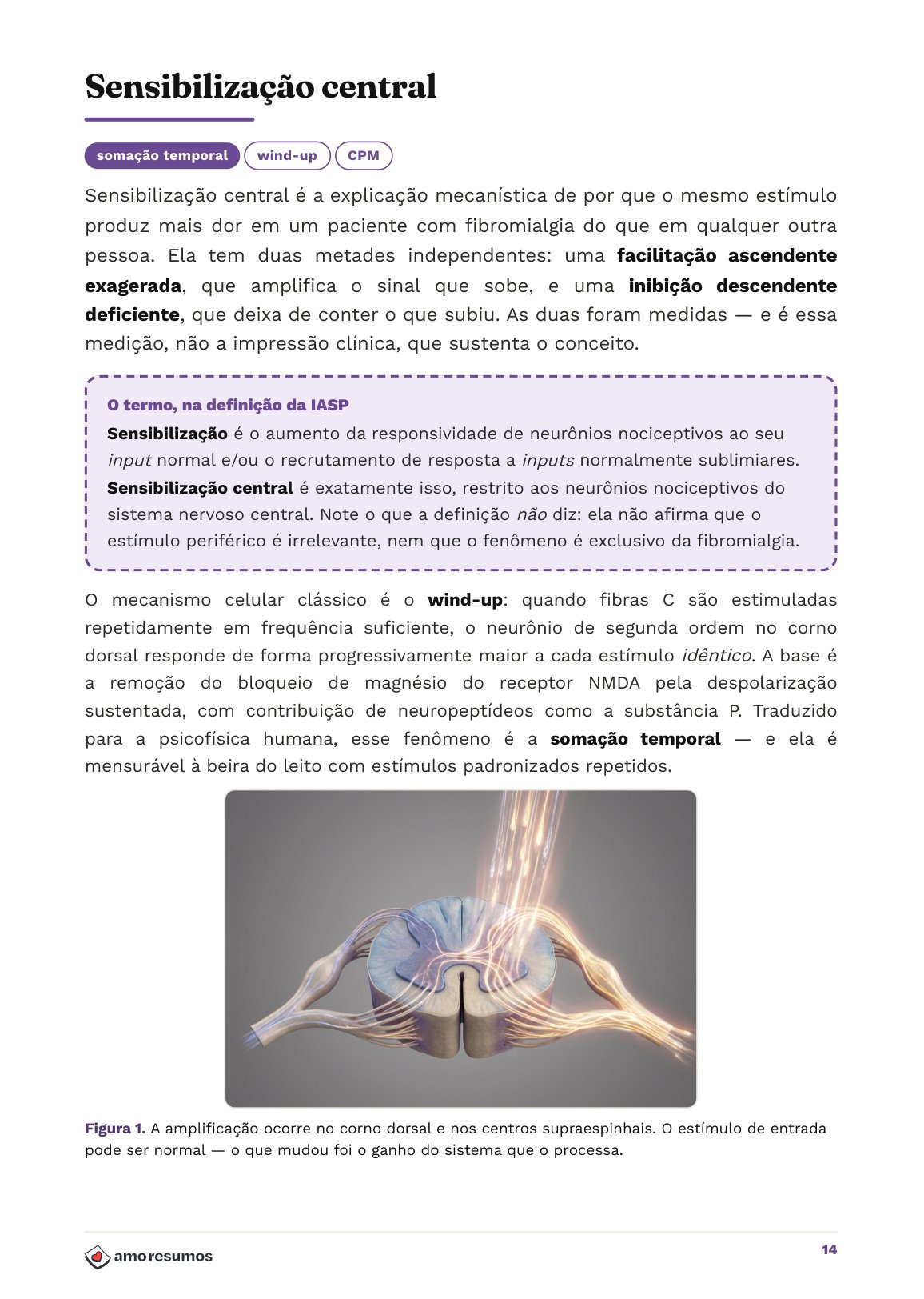 Sensibilización central